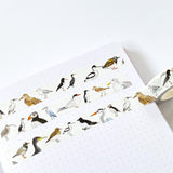 British Coastal Birds Washi Tape